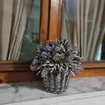 Appartement Dani Two Bedroom In Center Of *
