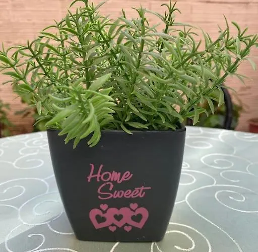 Dani Two Bedroom In Center Of Apartament