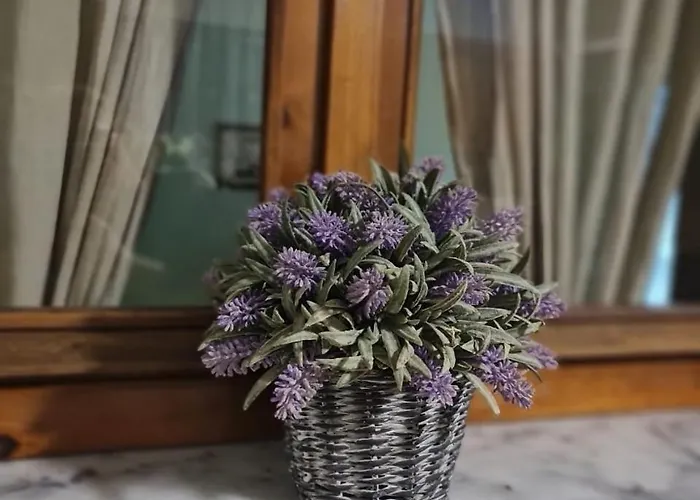 Apartament Dani Two Bedroom In Center Of *