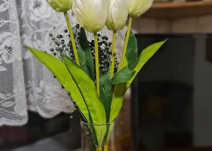 Dani Two Bedroom In Center Of Tirana